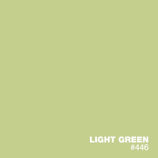Light Green #446 solid color epoxy floor