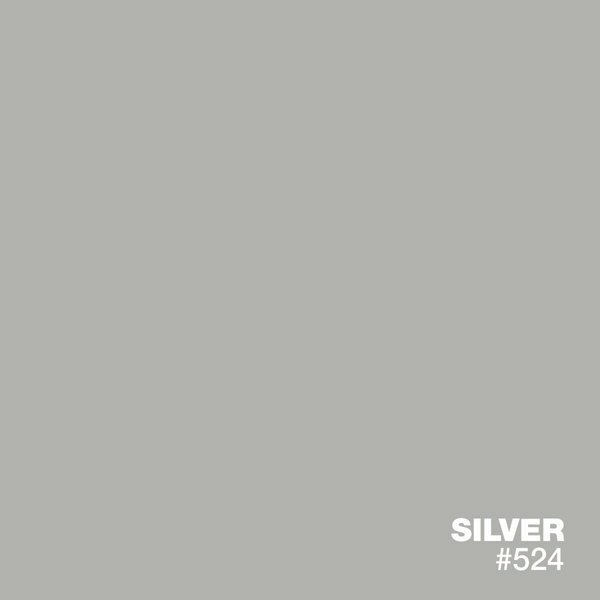 Silver #524 solid color epoxy floor